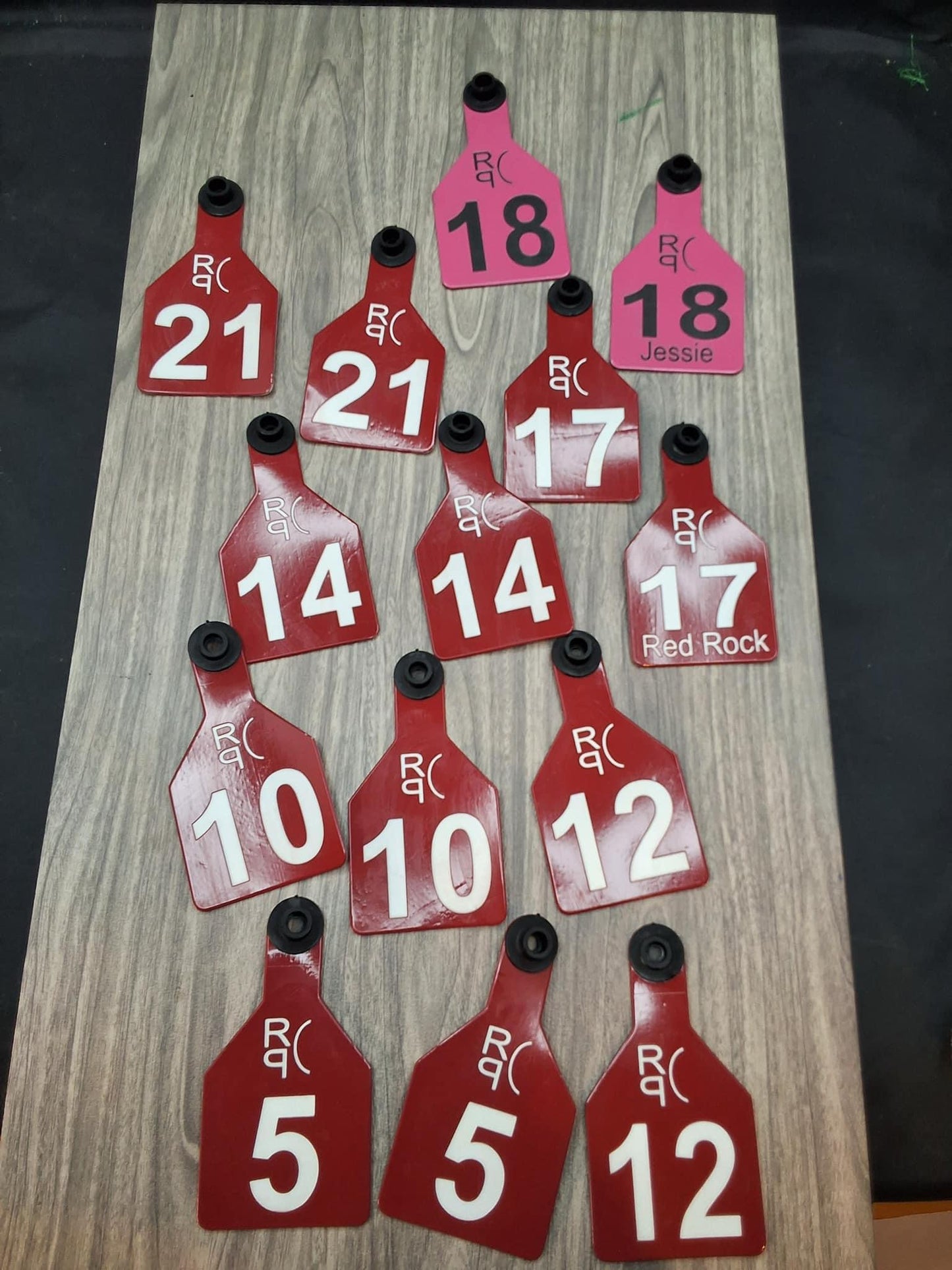 Ritchey Engraved Lot Sale Eartags