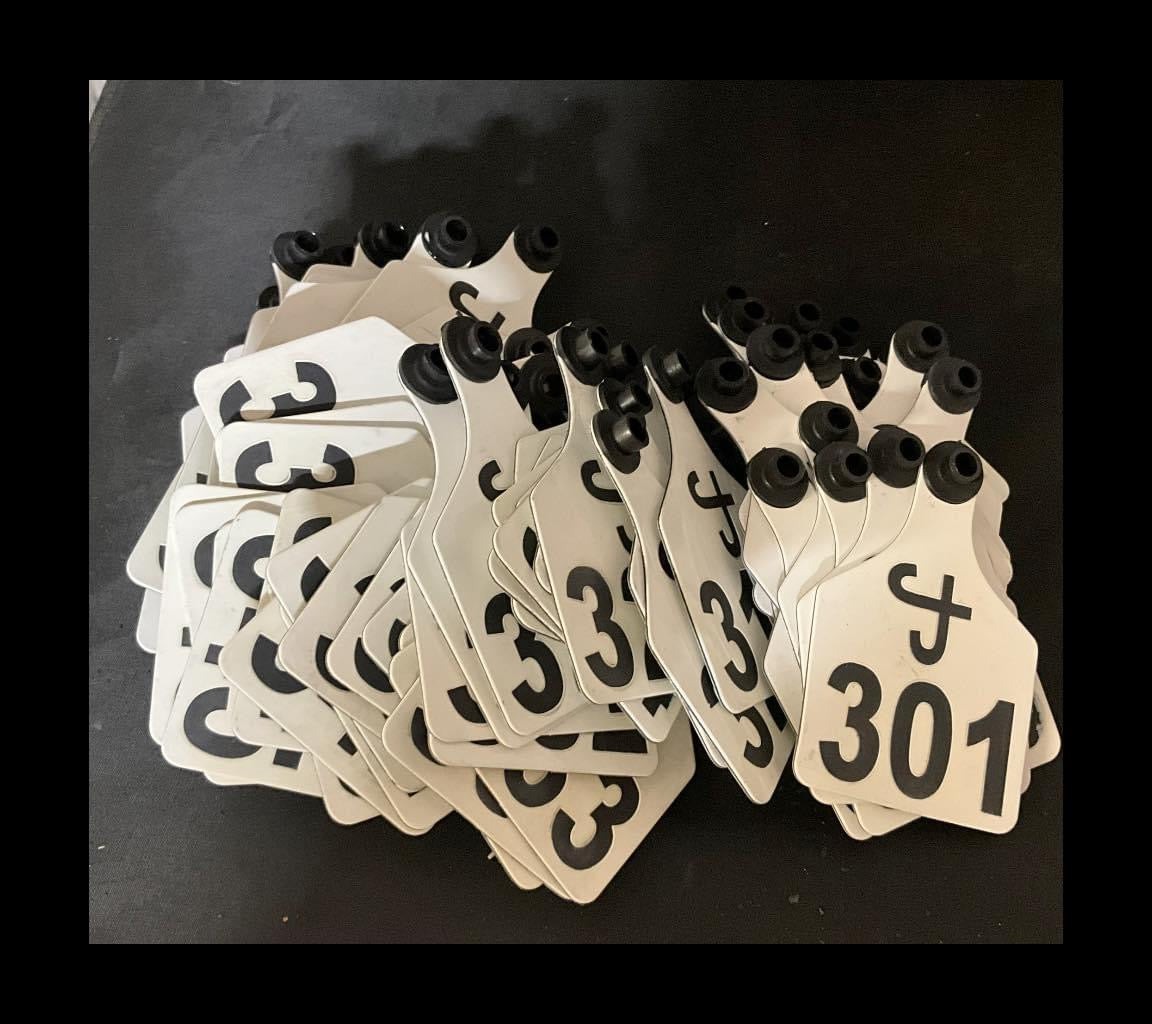 Ritchey Engraved Lot Sale Eartags