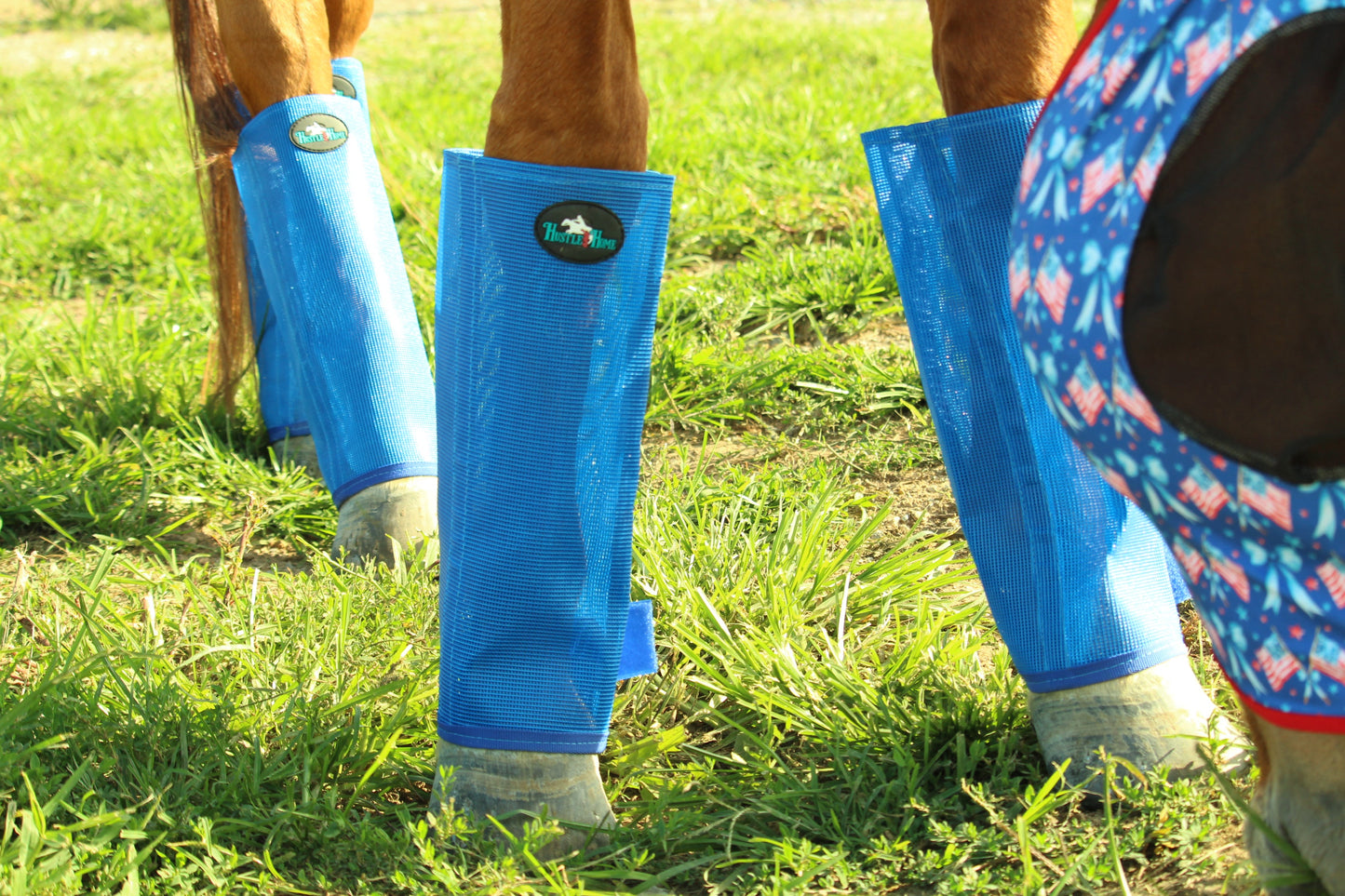 Ocean Blue Fly Boots