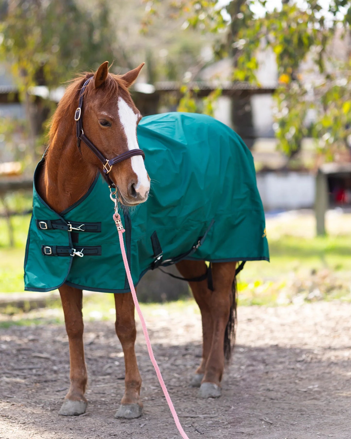 600D Turnout & Stable Blanket