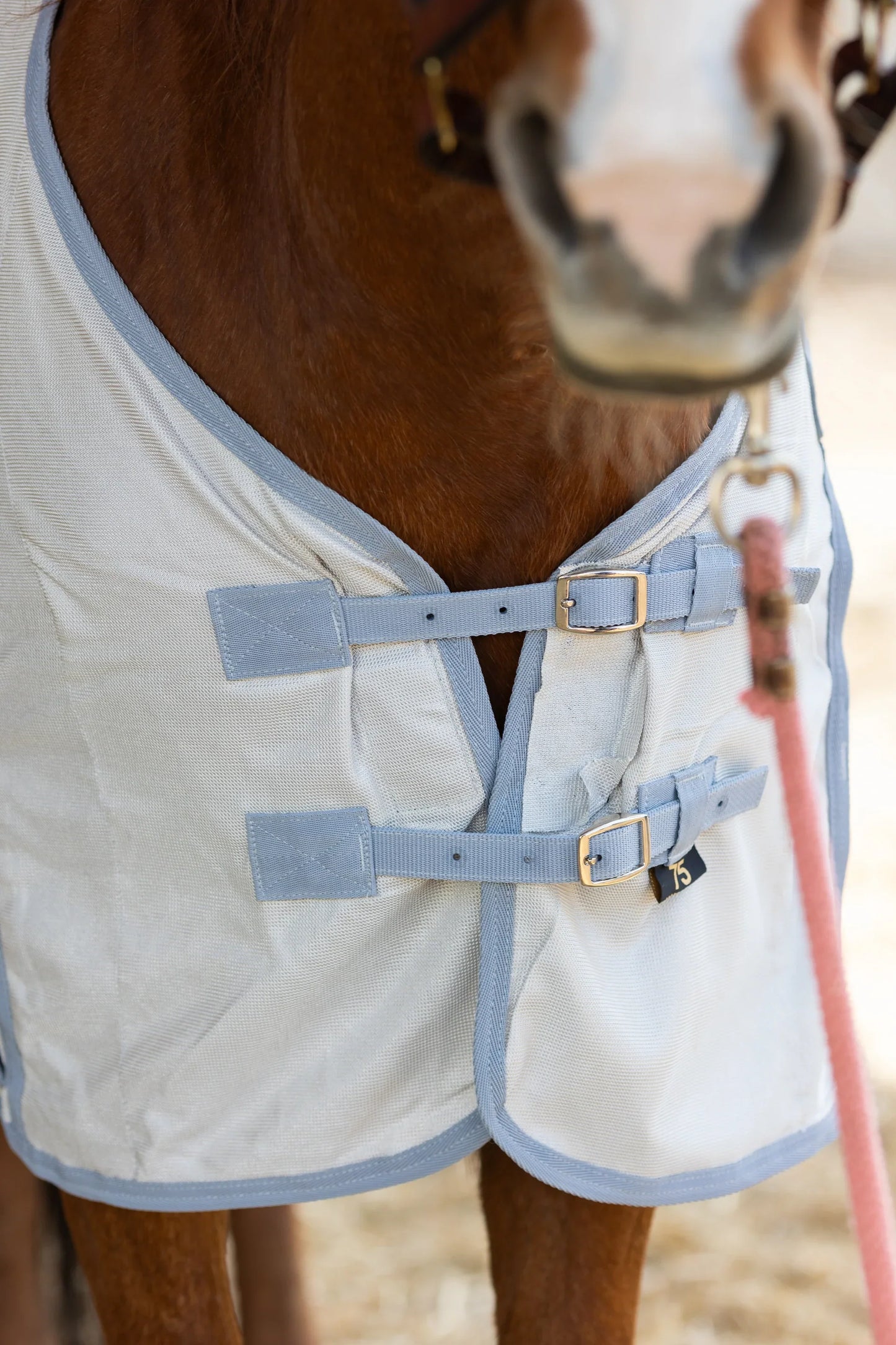 Silver Interlock Mesh Fly Sheet