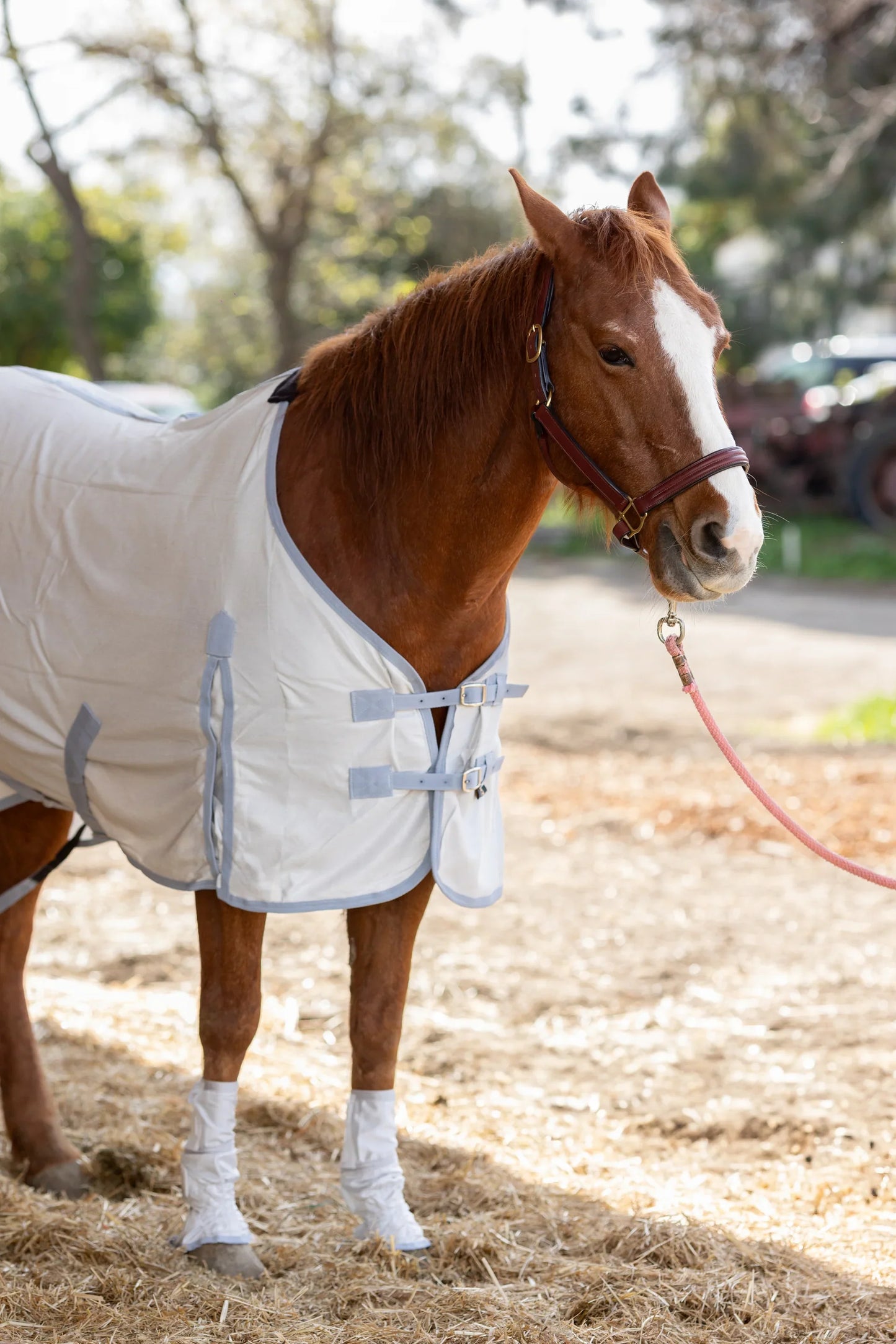 Silver Interlock Mesh Fly Sheet