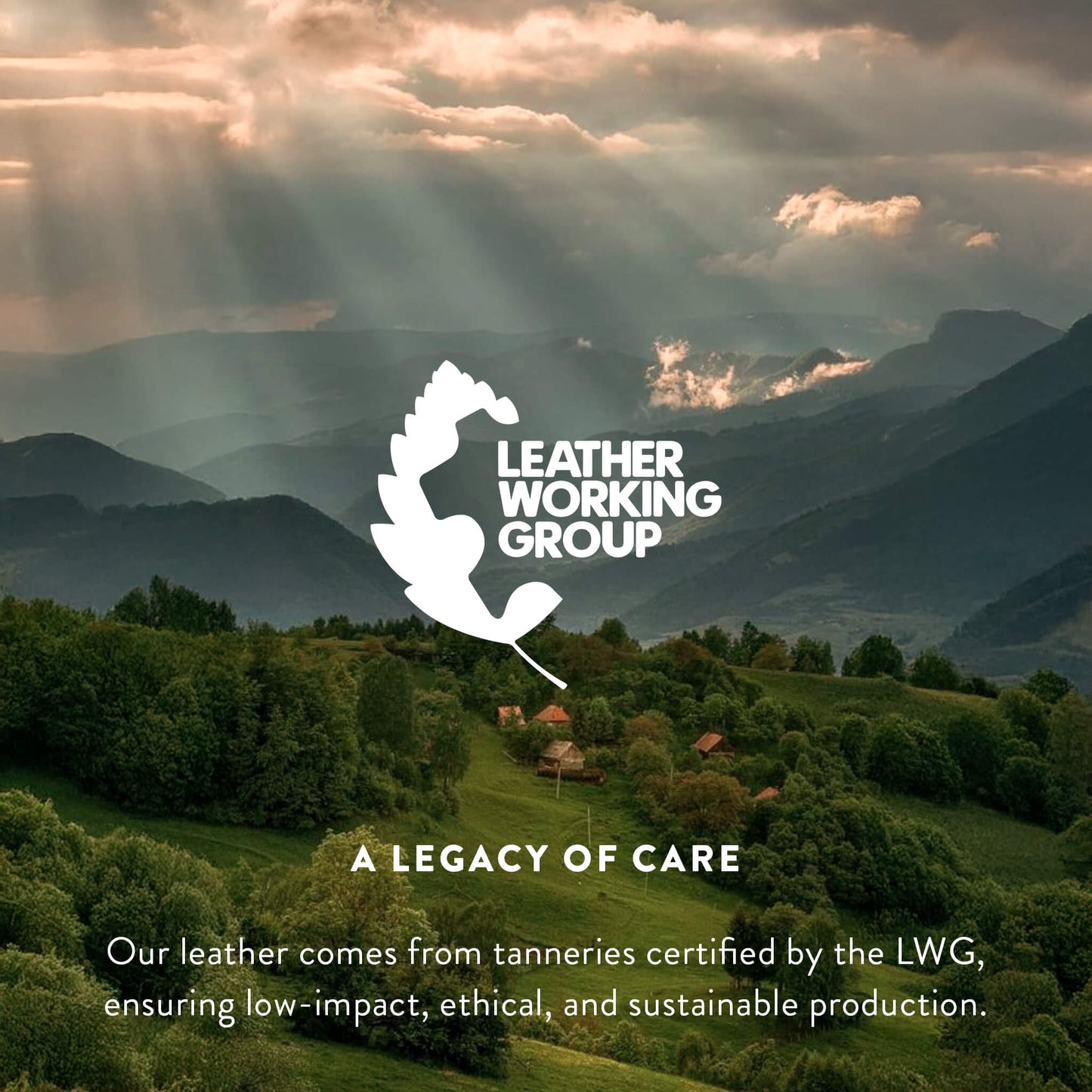 Brazilian Brindle White Belly Cowhide Rug Size 7'0" L x 7'1" W 8259