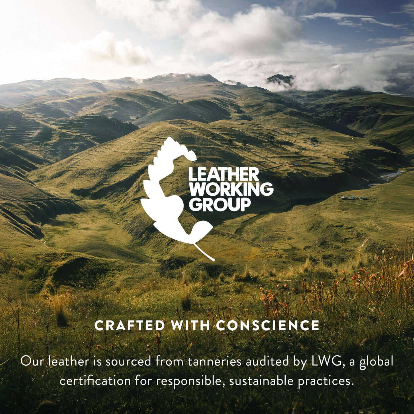 Dark Brindle Brazilian Cowhide Rug: XL