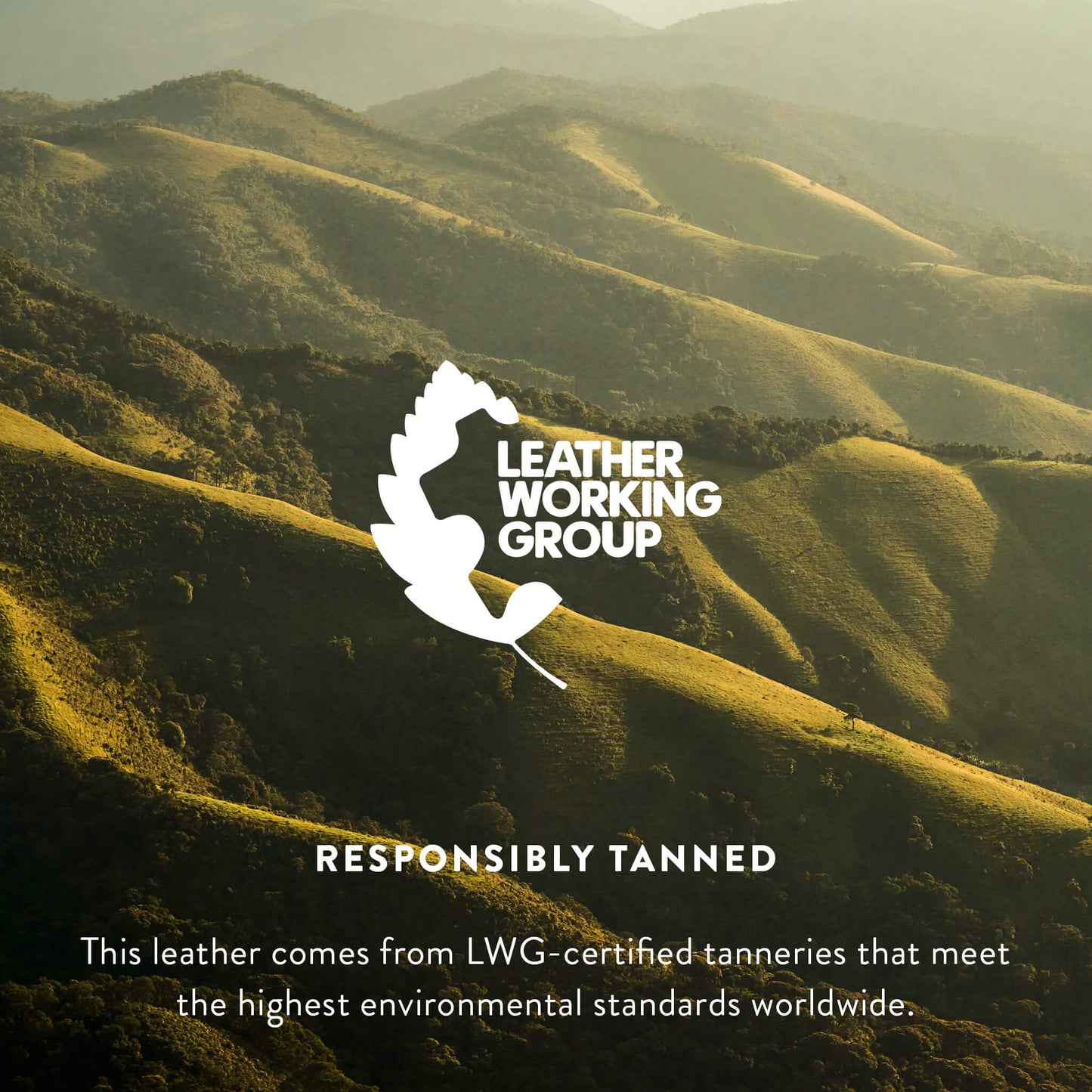 Palomino and White Brazilian Cowhide Rug: XL