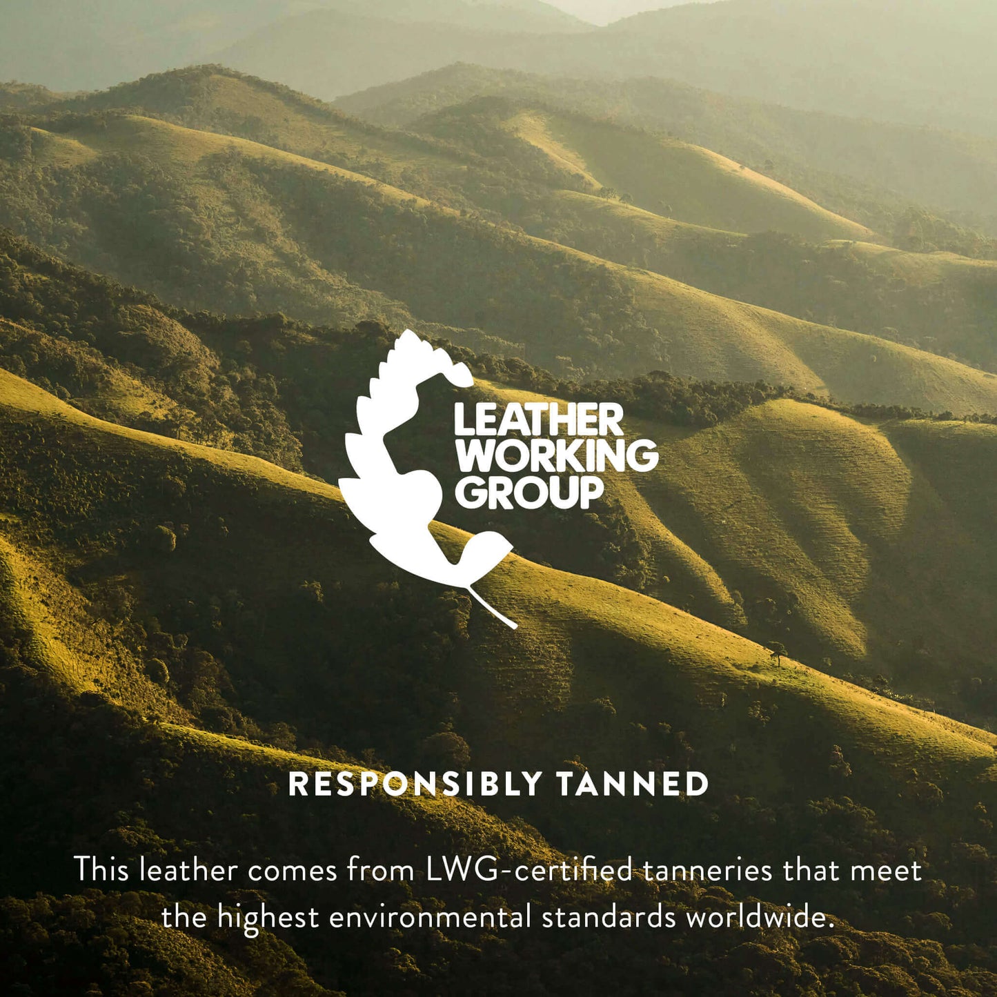 Salt and Pepper Black Brazilian Cowhide Rug: LARGE