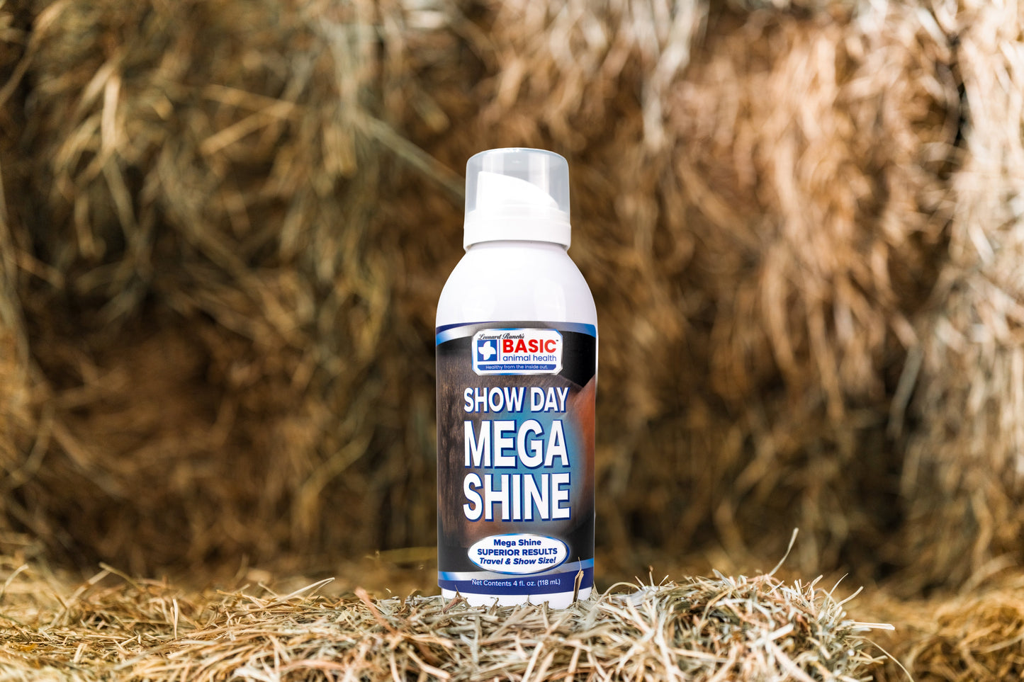 Mega Shine
