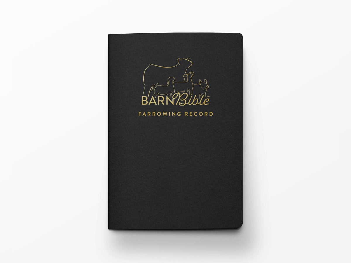 Mini Barn Bible™ Pig Edition