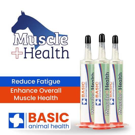 MuscleHealth Gel Supplement for Horses - 3 Pack