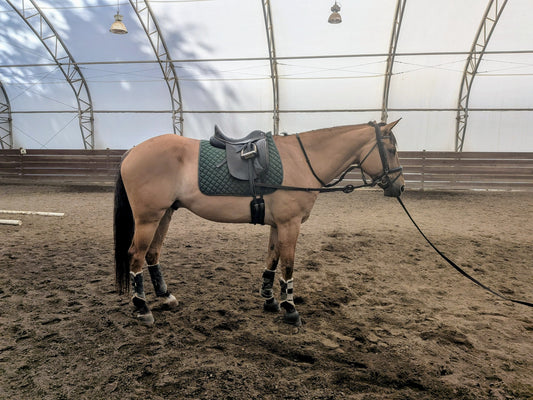 Adjustable Leather Side Reins with Rubber Ring