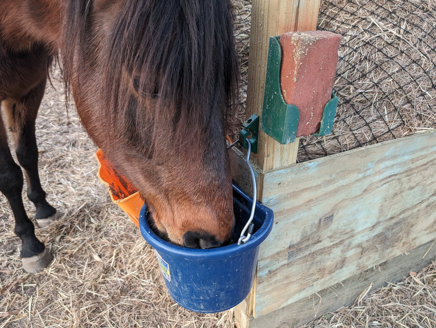 Salt Block Holder - Screw Mount - Fits Standard 4lb 4"x2.5" Salt Blocks