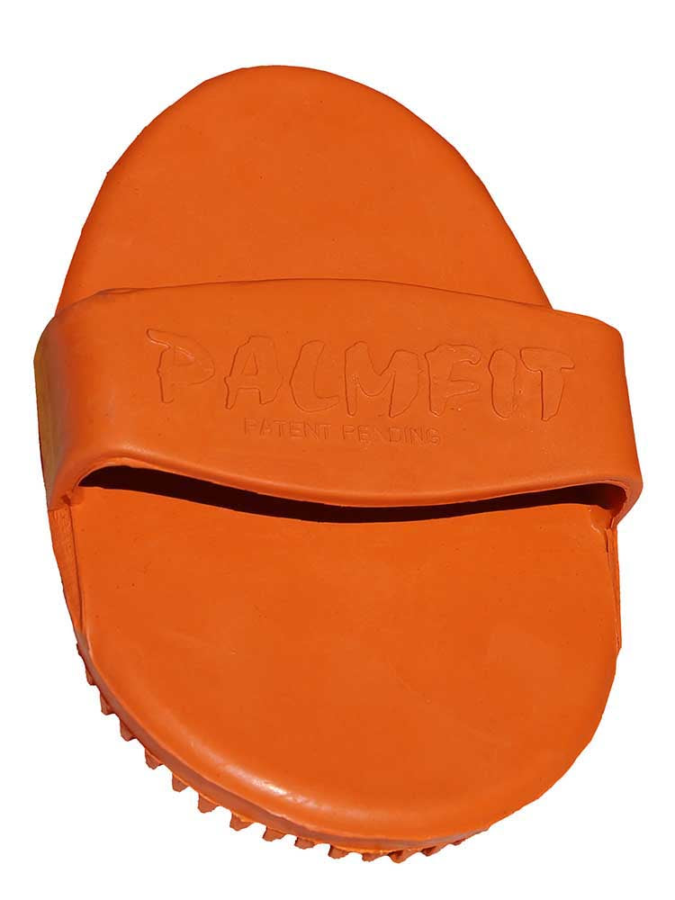 PalmFit Curry Comb