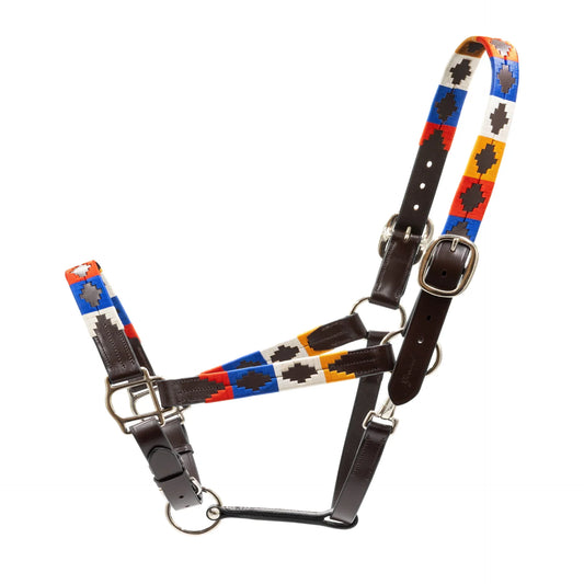 Pampa Argentine Halter
