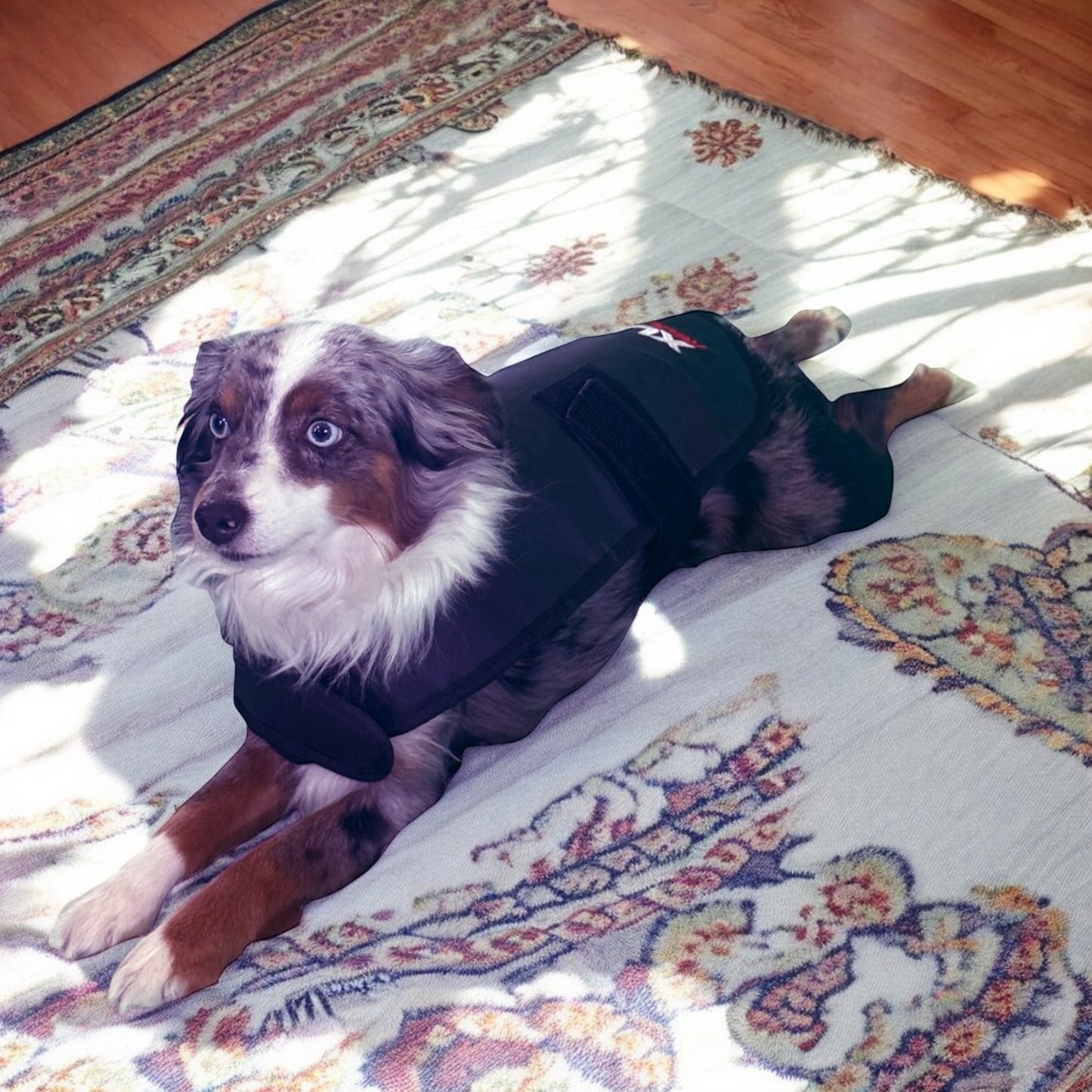 Redline Dog Wrap- Small