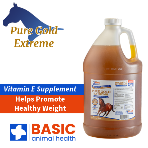 Pure Gold Extreme for Horses