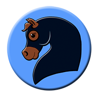 Sleazy Lycra Tie Tail Bag #WH02011 Black, #WH02010 Royal Blue