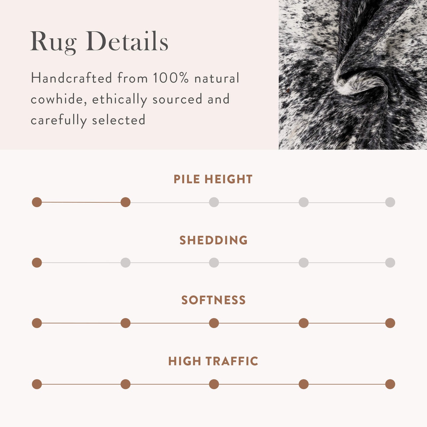 Salt and Pepper Black Brazilian Cowhide Rug: XL