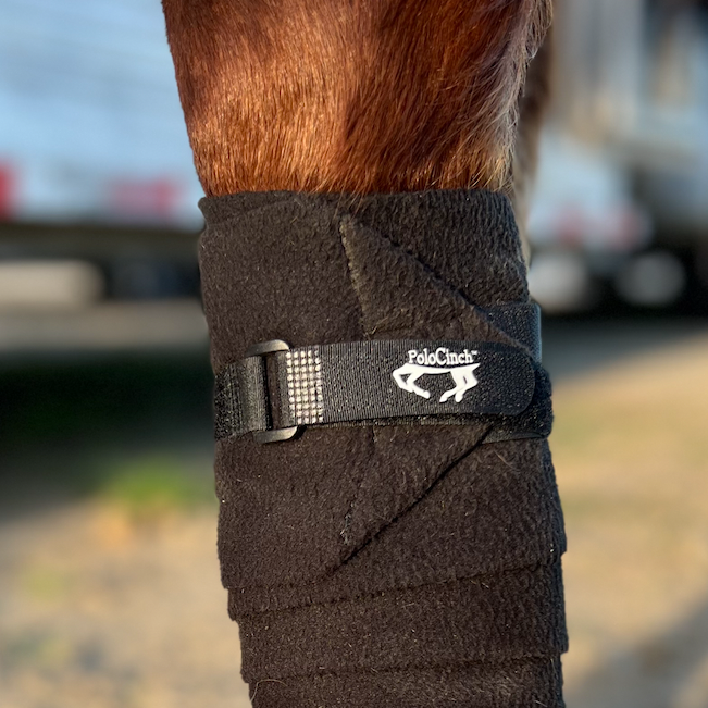 PoloCinch™ - Polo Wrap Guards