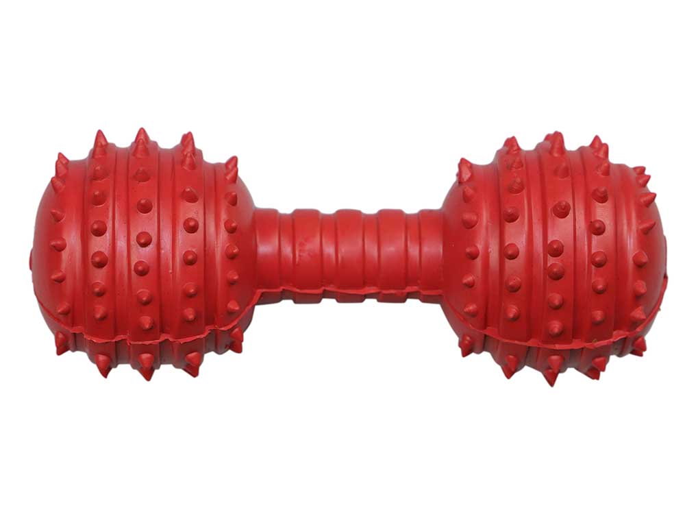 Studded Dumbbell Dog Toy