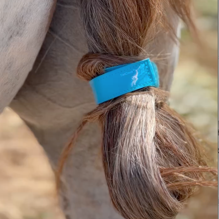 TailCinch™  Equine Tail Ties (Original)