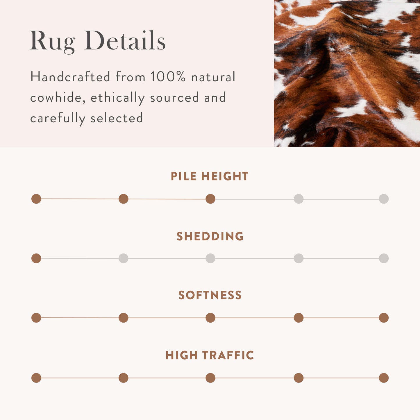 Tricolor Brazilian Cowhide Rug: XL