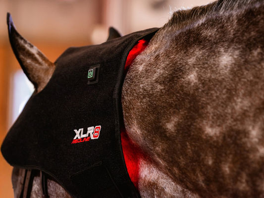 Redline Poll/Neck Wrap