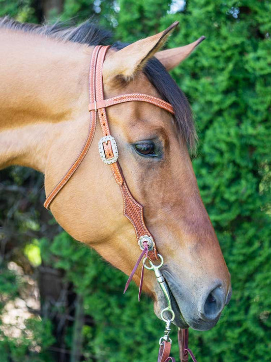 Sedona Headstall