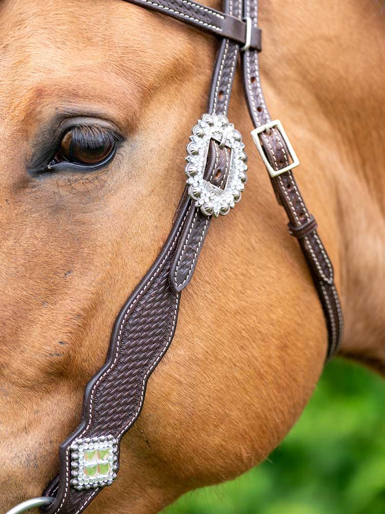 Bristol with Bling Headstall