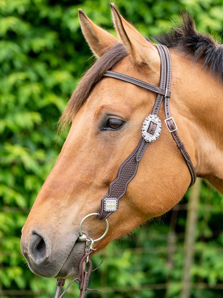 Bristol with Bling Headstall