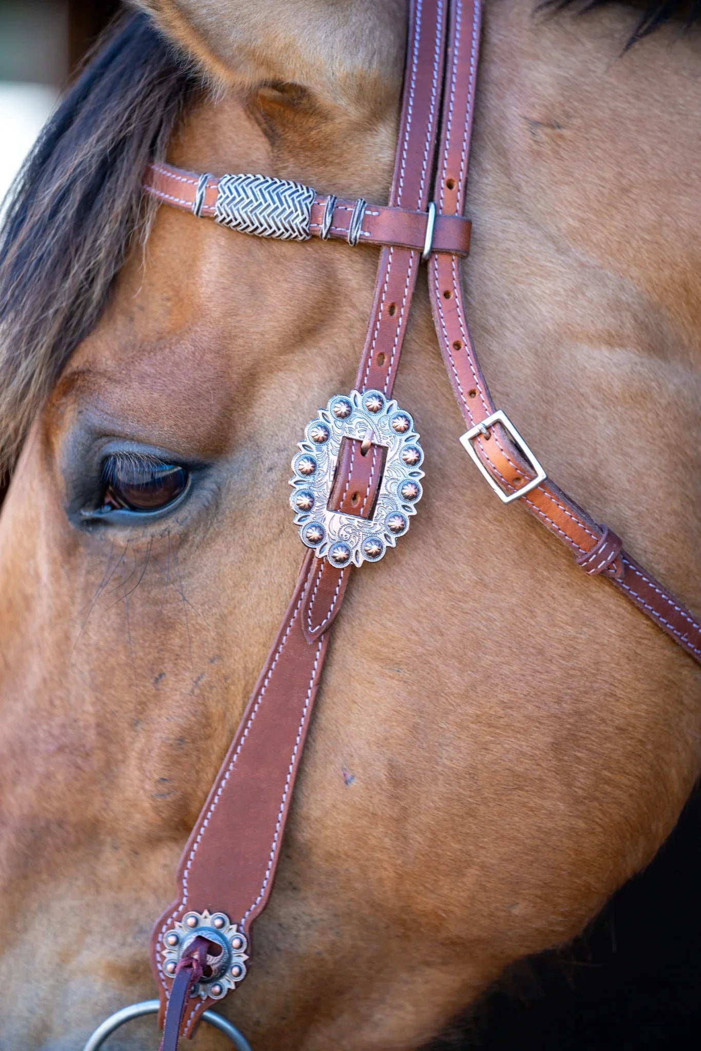 Phoenix Headstall