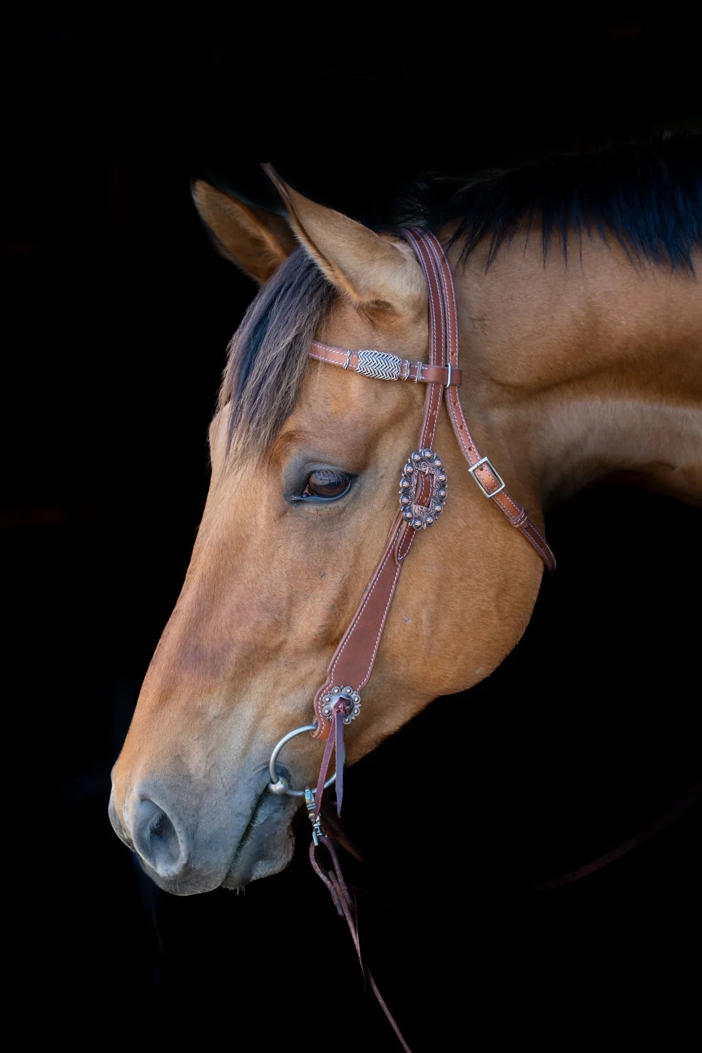 Phoenix Headstall