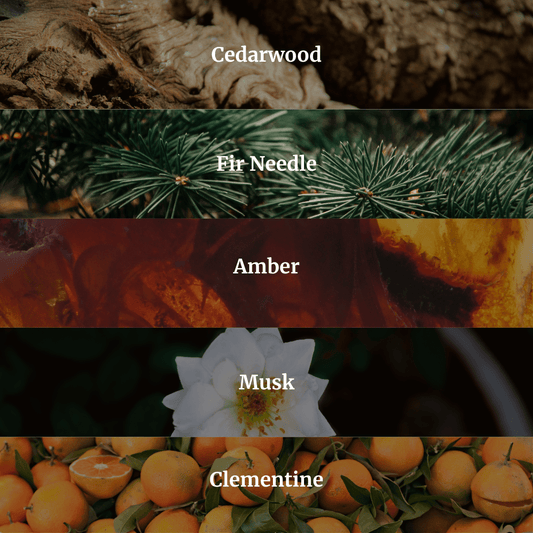 Secluded Cabin Candle 10.6 oz – Bergamot, Cedarwood & Smoked Amber