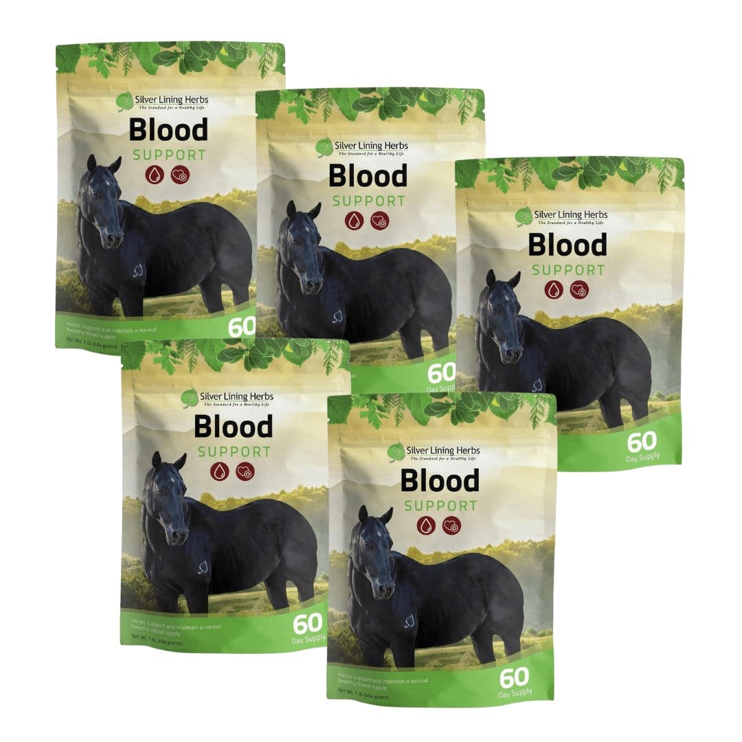 Blood Support for Horses