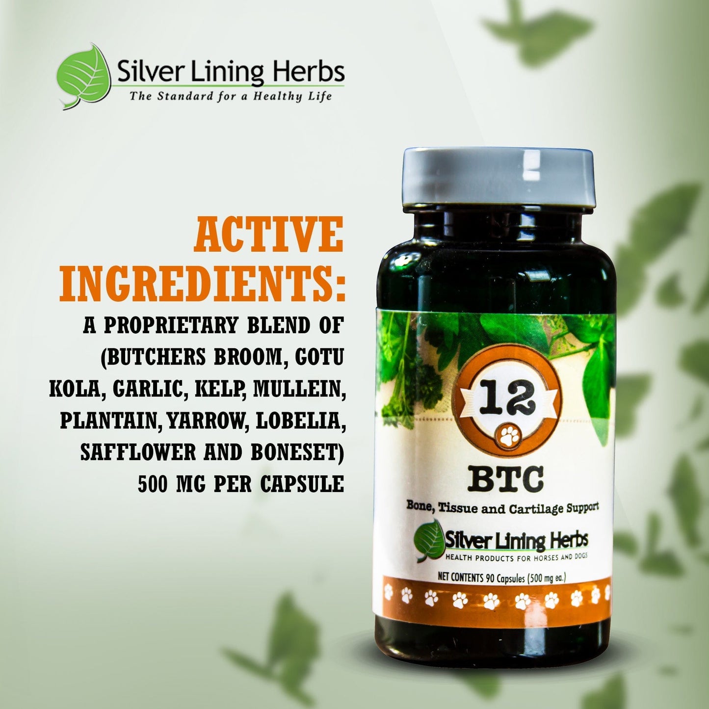 BTC Bone Tissue and Cartilage Support