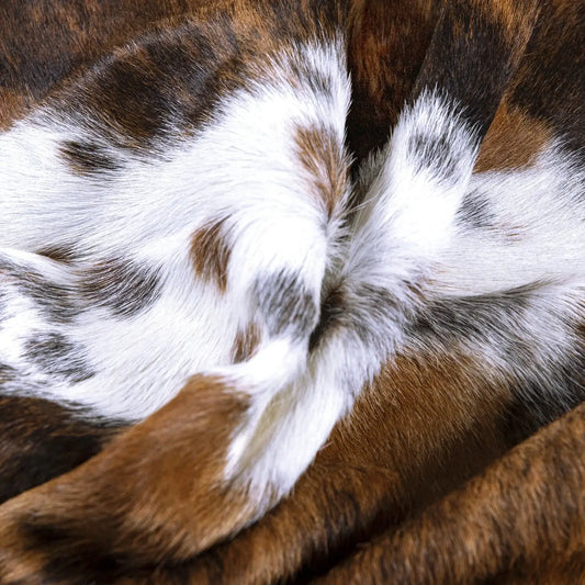 Tricolor Brazilian Cowhide Rug: LARGE