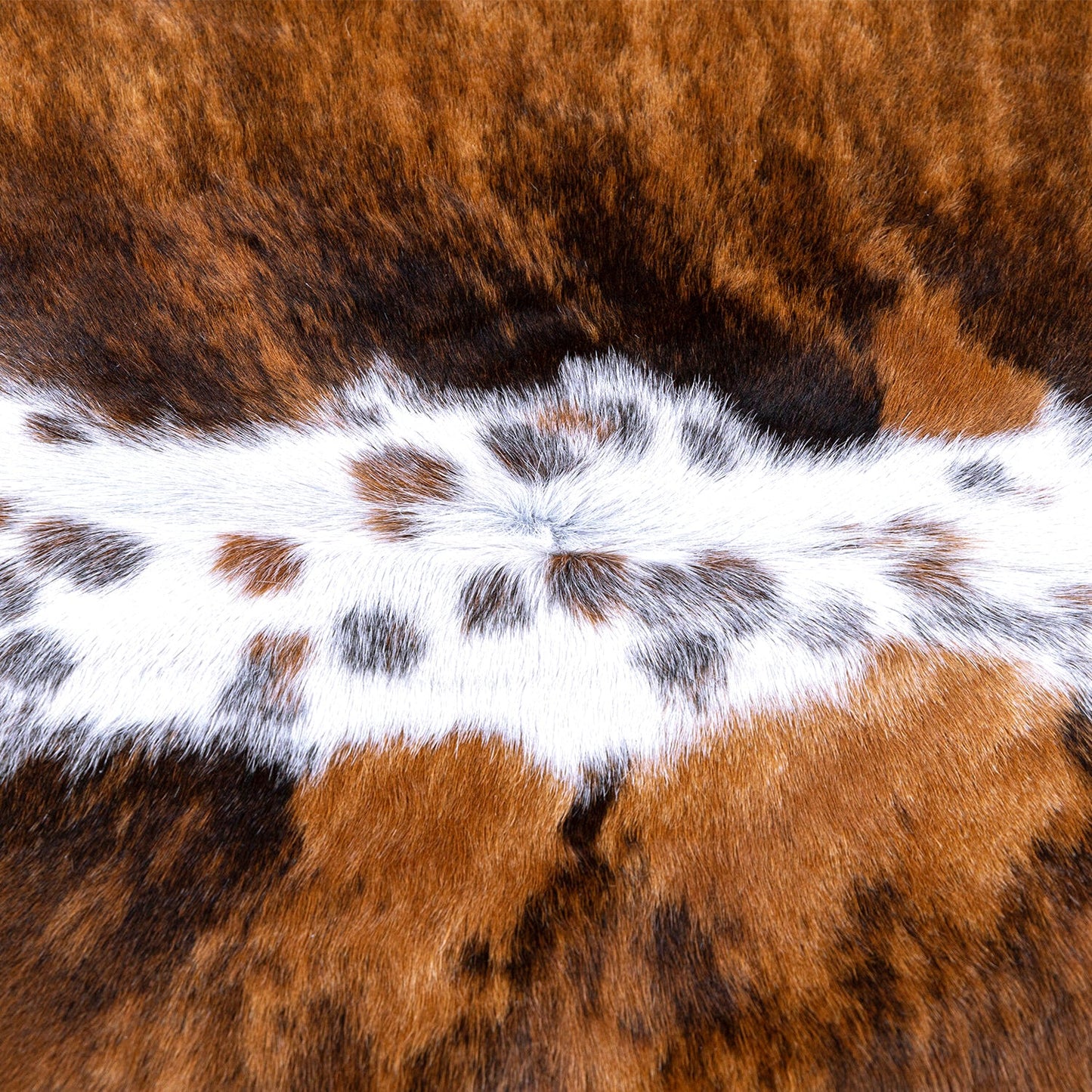 Tricolor Brazilian Cowhide Rug: LARGE
