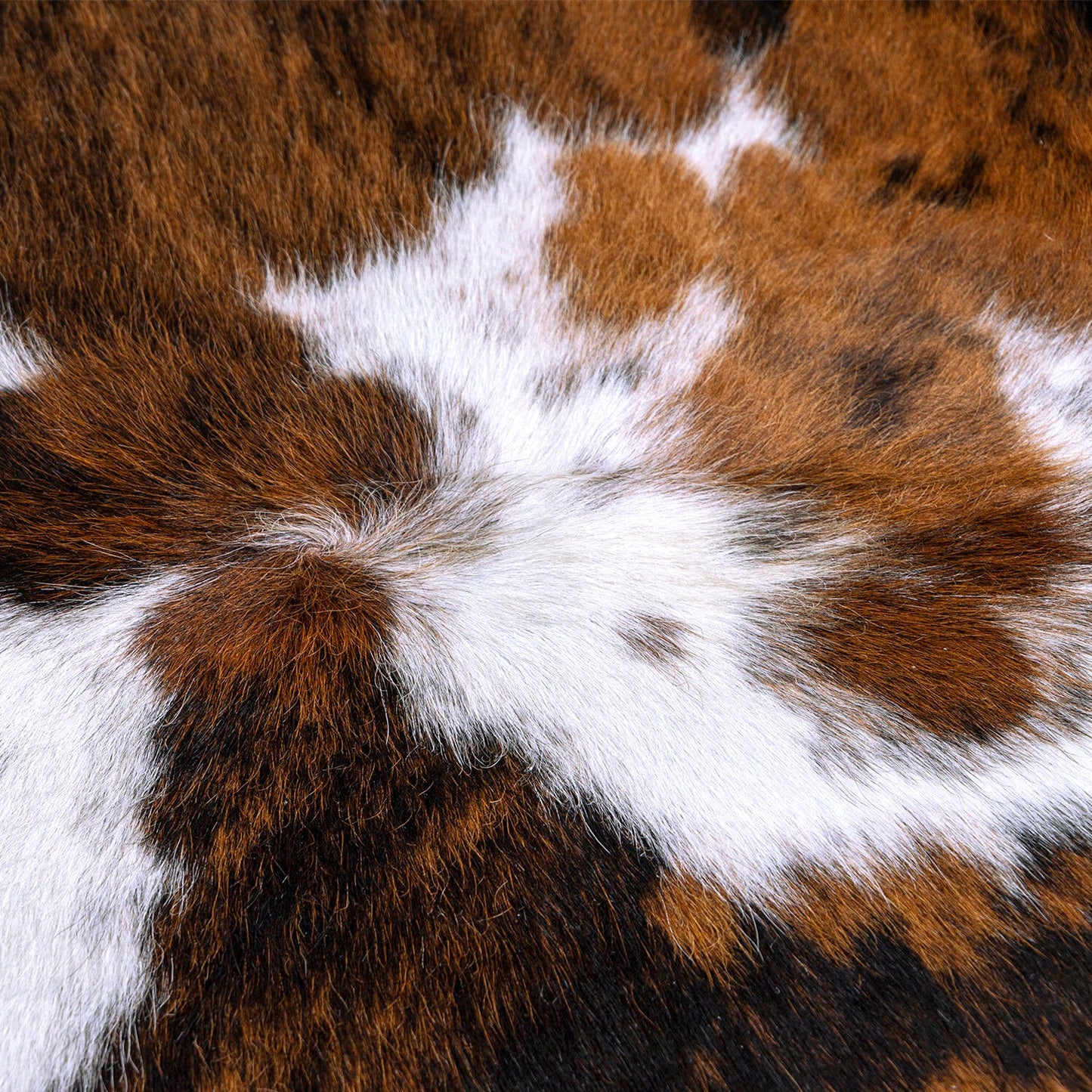 Tricolor Brazilian Cowhide Rug: LARGE