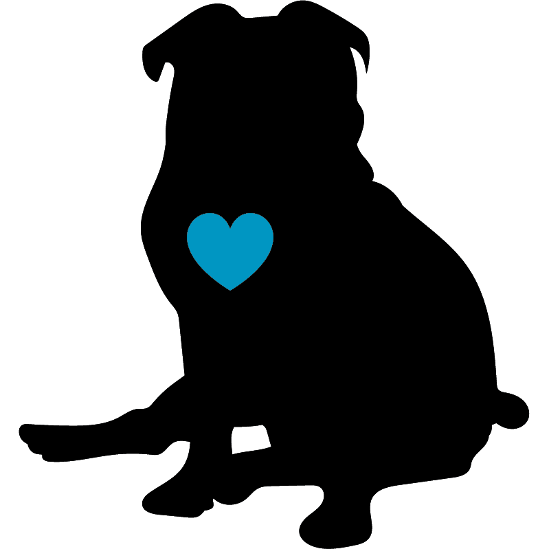 Draw It Out® K9 Advanced Relief Ready to Use Spray 32oz (Dog)