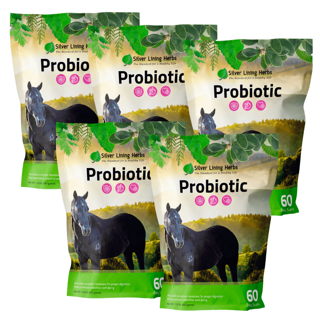 Horse Probiotics