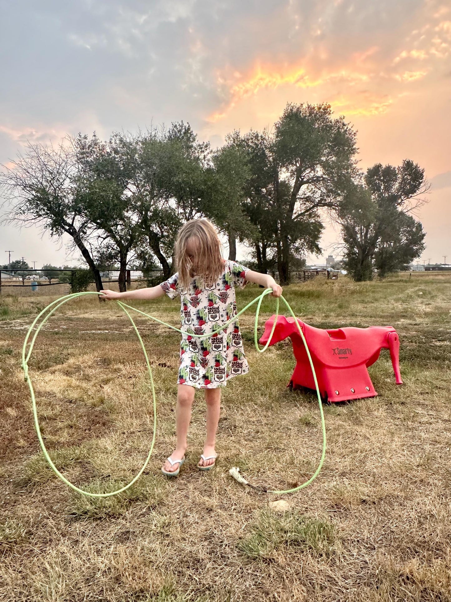 Rodeo T-Shirt Dress: Cheetah Skull Cactus Cowgirl Outfit