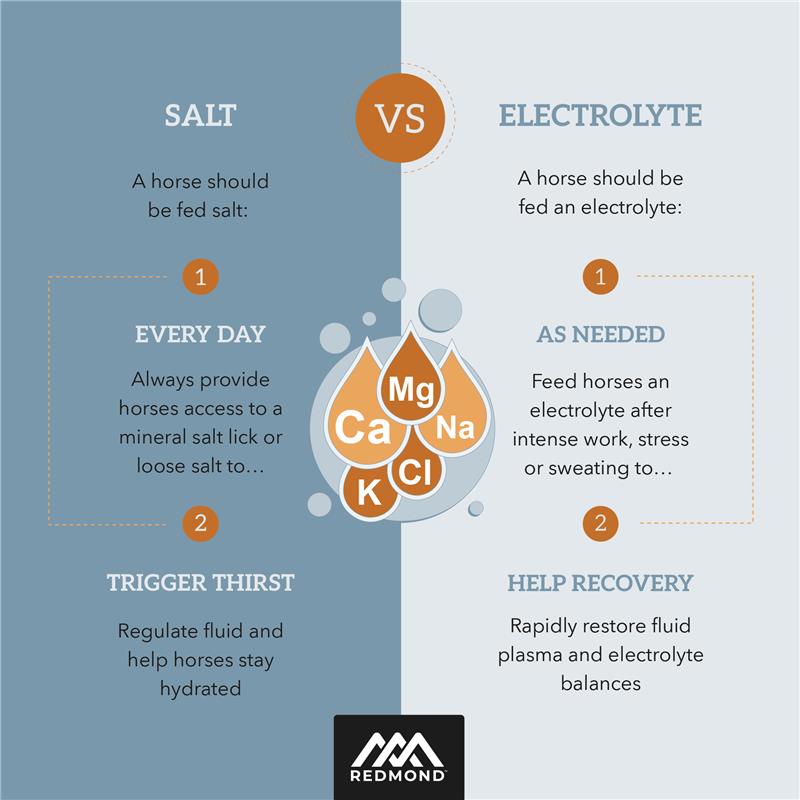 IsoBalance - Horse Electrolyte Paste
