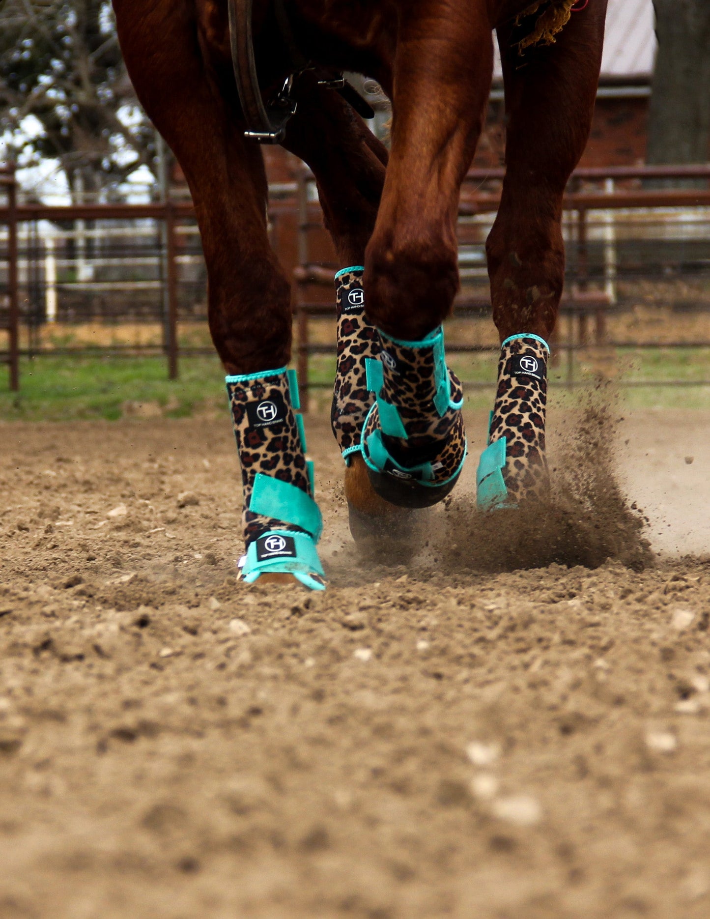 Cheetah Mint Sport Boots