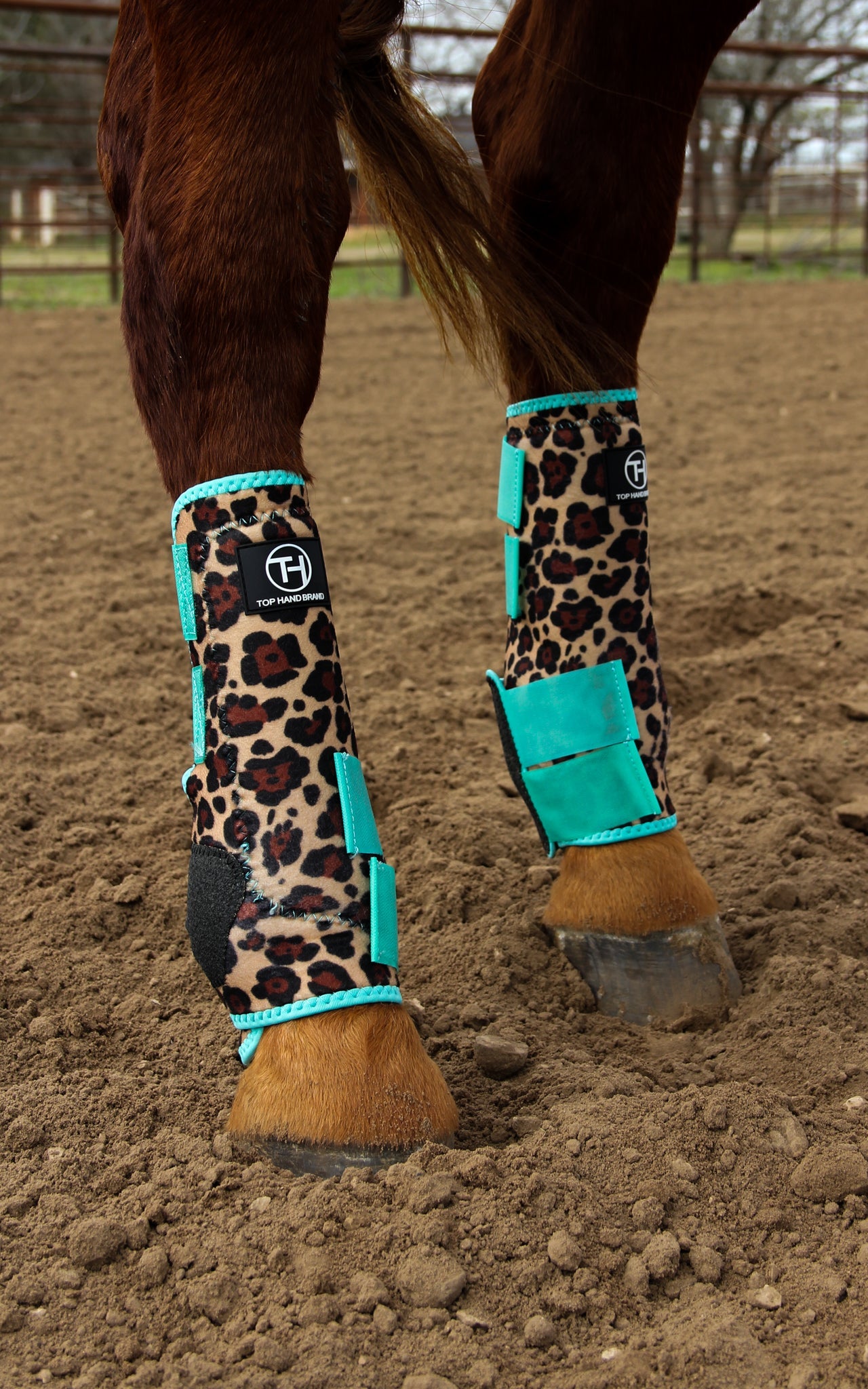 Cheetah Mint Sport Boots