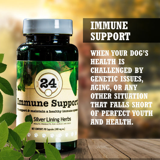 Immune Support for Canines