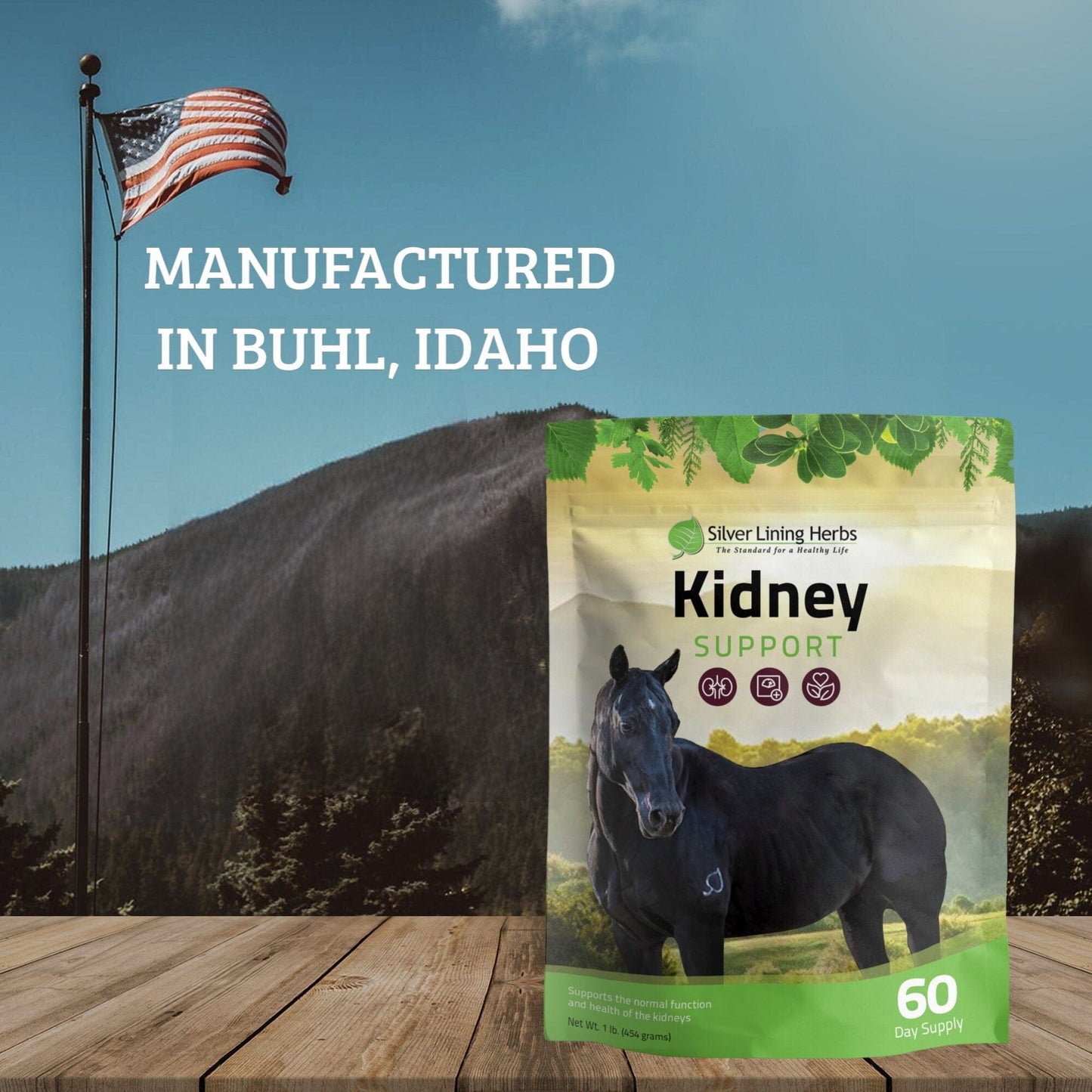 Kidney Support for Horses