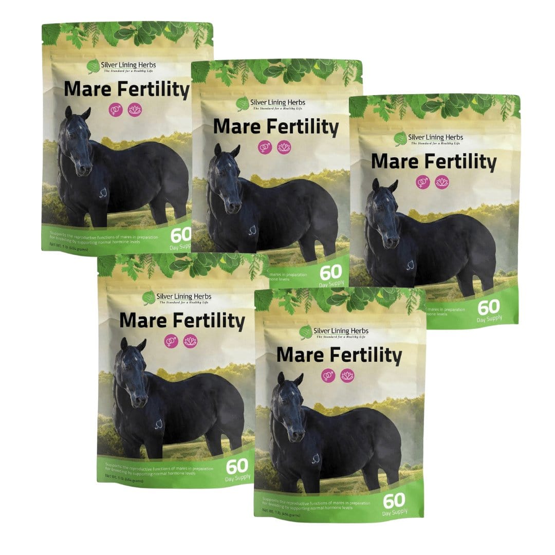 Mare Fertility For Horses
