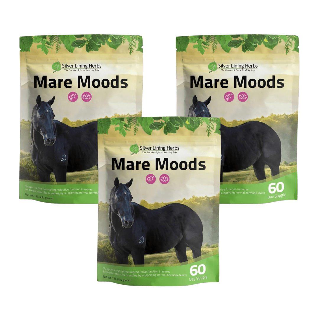 Mare Moods For Horses