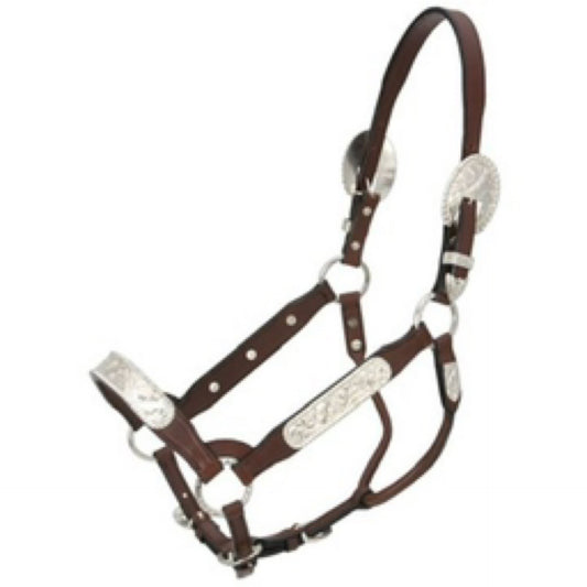 Berry Edge Yearling Show Halter