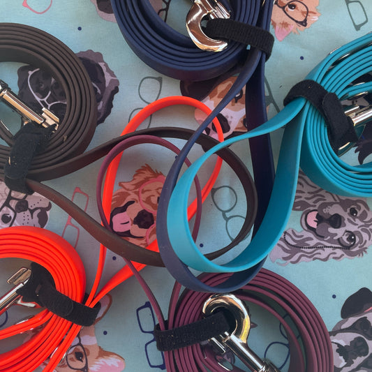 Biothane Standard leash