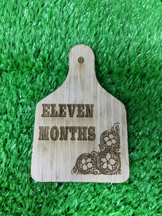 WESTERN BABY MILESTONE MARKERS SET OF 12